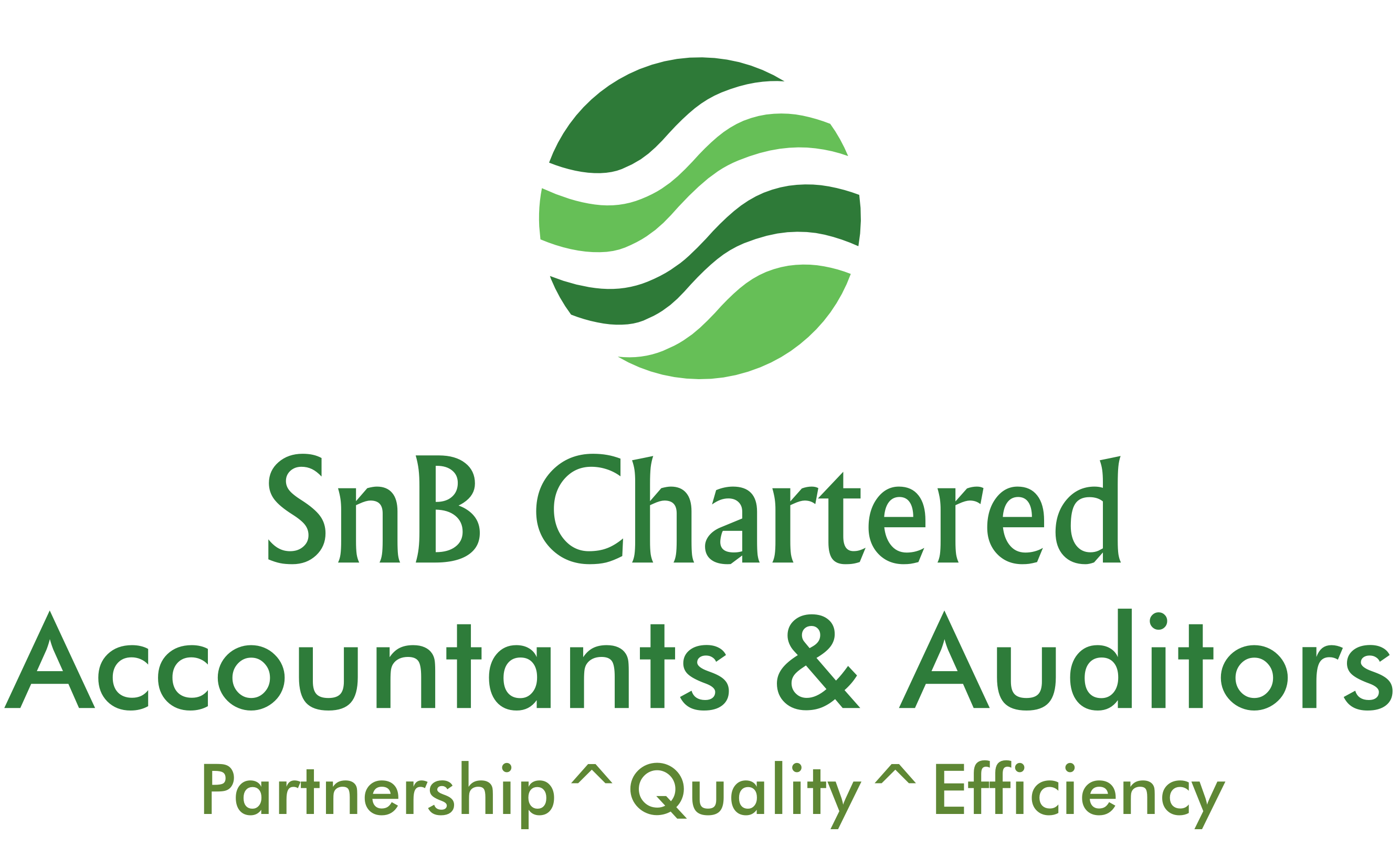 SnB Chartered Accountants Logo